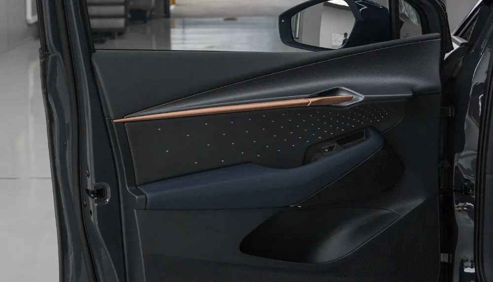 Protected leather and fabric door trim on a new car at Deluxe Detail